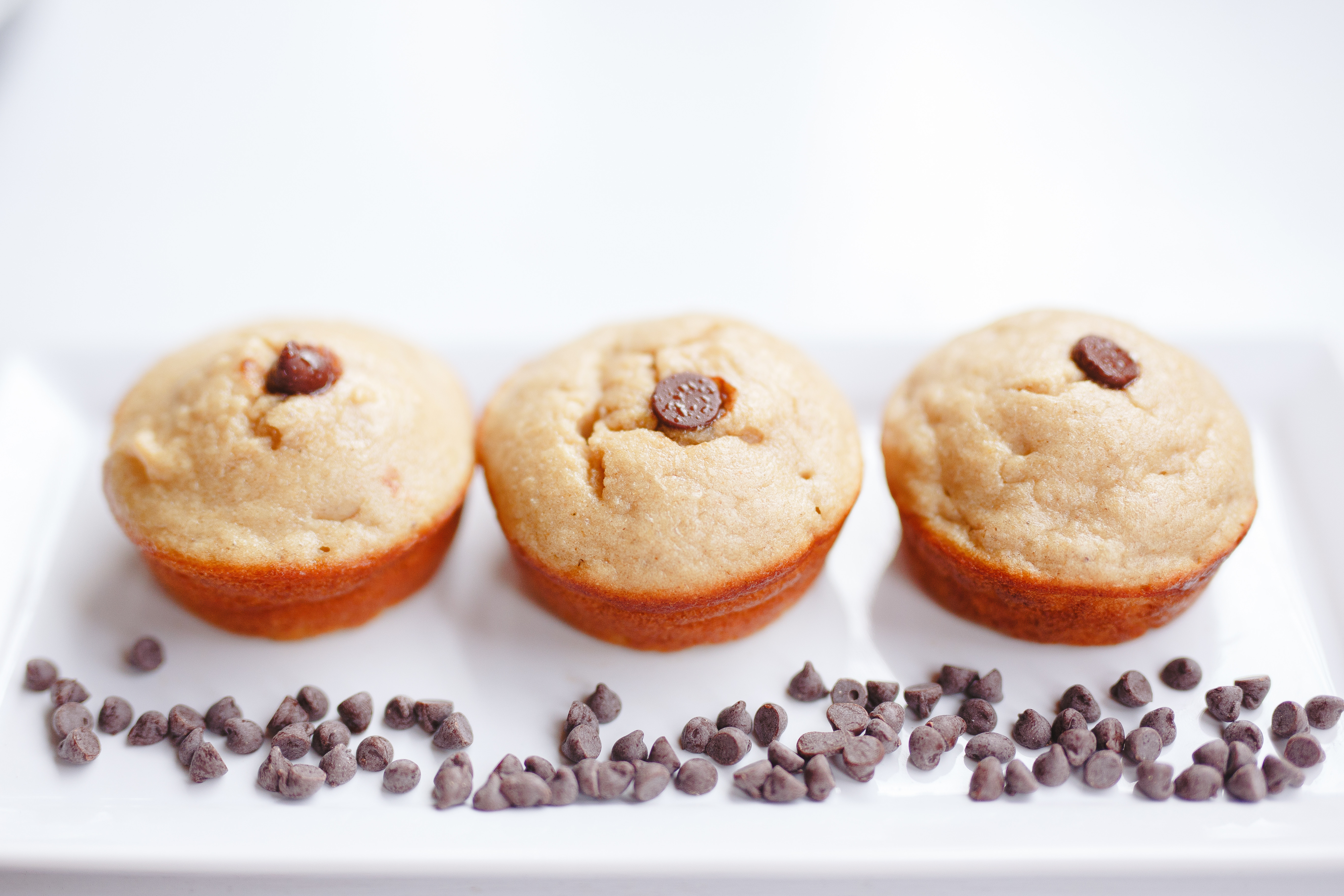 Vanilla Chocolate Chip Protein Muffins - Dozen